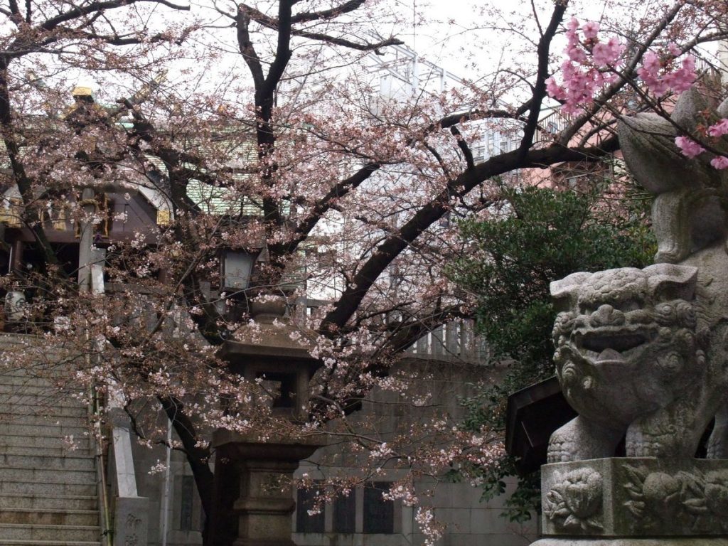 スタジオよもだ → 元三島神社 鶯谷