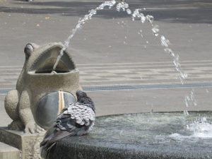 スタジオよもだ → 上野恩賜公園